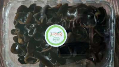 국내산 자연의숨 무농약 인증 생목이버섯, 생목이버섯 500g, 1kg